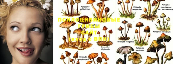 меф VHQ Алзамай